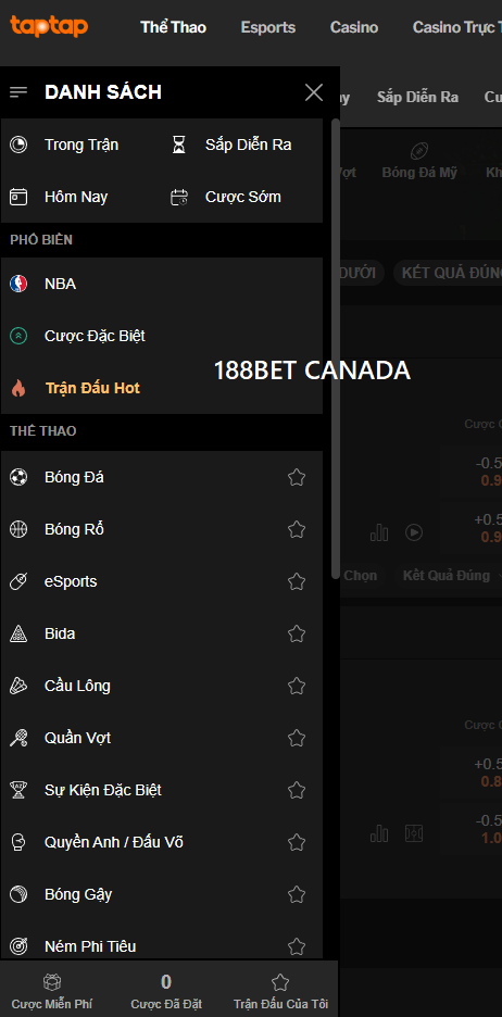 Đa dạng trò chơi cá cược thể thao 188bet sport